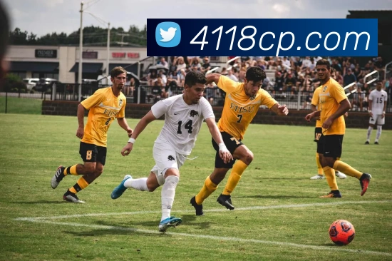 1号彩票平台生态图